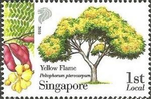 Colnect-4583-707-Yellow-flame--Peltophorum-pterocarpum.jpg