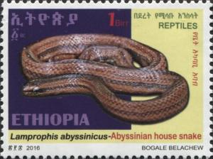 Colnect-5190-778-Abyssinian-House-Snake-Lamprophis-abyssinicus.jpg