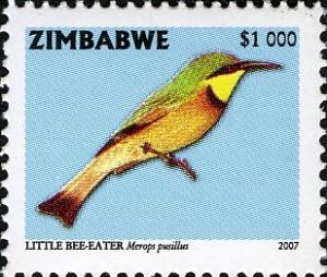 Colnect-555-294-Little-Bee-eater-Merops-pusillus.jpg
