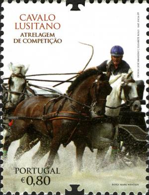 Colnect-596-628-The-Lusitano-Horse.jpg