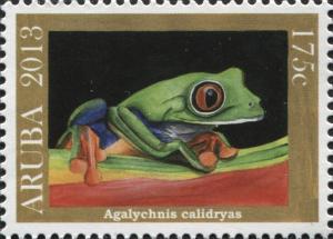 Colnect-6279-156-Red-eyed-Tree-Frog-Agalychnis-callidryas.jpg