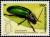 Colnect-858-359-Leaf-Beetle-Bohumiljania-humboldti.jpg
