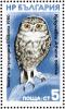 Colnect-1976-405-Little-Owl-Athene-noctua-.jpg
