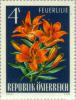 Colnect-136-603-Fire-Orange-Lily-Lilium-bulbiferum.jpg