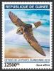 Colnect-5978-128-Little-Swift-Apus-affinis.jpg