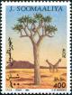 Colnect-4947-849-Tree-Aloe-and-Giraffes.jpg
