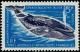 Colnect-885-968-Blue-whale-Balaenoptera-musculus.jpg