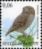 Colnect-4431-110-Little-Owl-Athene-noctua-.jpg