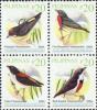 Colnect-2857-717-Philippine-Birds---MiNo-4200-03II.jpg