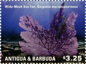 Colnect-3012-994-Wide-mash-Sea-Fan-Gorgonia-marieae-cavernosa.jpg