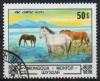 Colnect-820-577-Horse-Equus-ferus-caballus-at-Uvs-Lake.jpg