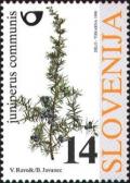 Colnect-695-820-Flora---Coniferous-trees-common-juniper.jpg