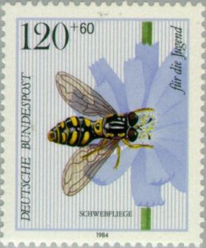 Colnect-153-377-Hoverfly-Chrysotoxum-festivum-Coffeeweed-Cichorium-intyb.jpg