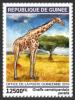 Colnect-5970-267-West-African-Giraffe-Giraffa-camelopardalis-peralta.jpg