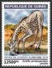 Colnect-5970-265-West-African-Giraffe-Giraffa-camelopardalis-peralta.jpg
