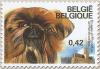Colnect-563-899-Brussels-Griffon-Canis-lupus-familiaris.jpg