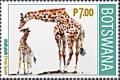 Colnect-7456-173-Giraffe-Giraffa-giraffa.jpg