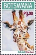 Colnect-7456-174-Giraffe-Giraffa-giraffa.jpg