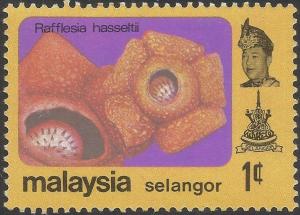Colnect-4180-185-Rafflesia-hasseltii.jpg