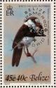 Colnect-1594-399-White-necked-Puffbird-Notharchus-hyperrhynchus.jpg