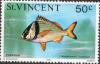 Colnect-6193-307-Atlantic-Porkfish-Anistotremus-virginicus.jpg
