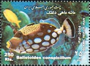 Colnect-1592-474-Clown-Triggerfish-Balistoides-conspicillum.jpg