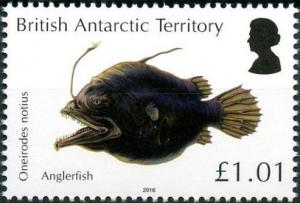 Colnect-3716-110-Anglerfish-Oneirodes-notius.jpg