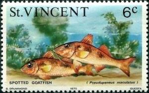 Colnect-5649-027-Spotted-Goatfish-Pseudopeneus-maculatus.jpg