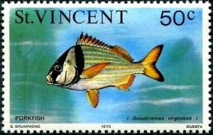 Colnect-5856-947-Atlantic-Porkfish-Anistotremus-virginicus.jpg