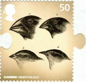 Colnect-587-460-Darwin-s-Finches-Camarhynchus-sp.jpg
