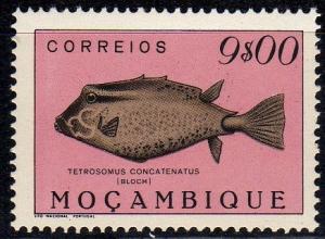 Colnect-595-005-Triangular-Boxfish-Tetrosomus-concatenatus.jpg