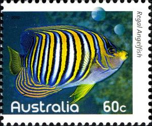 Colnect-910-741-Regal-Angelfish-Pygoplites-diacanthus.jpg