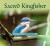 Colnect-5995-550-Sacred-Kingfisher-Todiramphus-sanctus.jpg