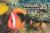 Colnect-609-950-Fire-Clownfish-Amphiprion-melanopus.jpg