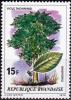 Colnect-3625-509-Ficus-thonningi.jpg