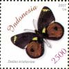 Colnect-1586-974-Butterfly-Delias-kristianiae.jpg