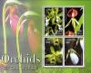 Colnect-1618-721-Flora---Orchids.jpg