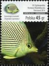 Colnect-3128-245-Foureye-Butterflyfish-Chaetodon-capistratus.jpg