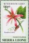 Colnect-4207-956-Passion-flower-Passiflora-rubra.jpg