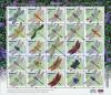 Colnect-4347-957-Dragonflies-and-Damselflies.jpg