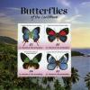 Colnect-6055-294-Butterflies-of-the-Caribbean.jpg