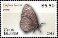 Colnect-2397-593-Crow-Butterfly-Euploea-lewinii-perryi.jpg