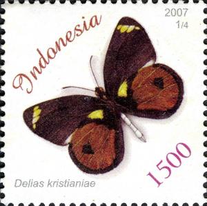 Colnect-1586-971-Butterfly-Delias-kristianiae.jpg