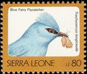 Colnect-1617-995-Blue-Crested-flycatcher-Elminia-longicauda.jpg