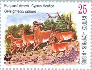 Colnect-180-749-Cyprus-Mouflon-Ovis-gmelini-ophion.jpg