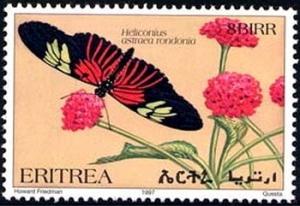 Colnect-2167-128-Butterfly-Heliconius-astraea.jpg