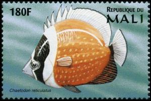 Colnect-2377-116-Mailed-Butterflyfish-Chaetodon-reticulatus.jpg