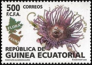Colnect-3425-279-Passiflora-quadrangularis.jpg