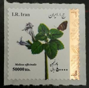 Colnect-4781-601-Flowers-of-Iran.jpg