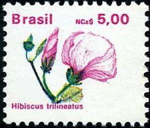 Colnect-5198-662-Brazilian-Flora-Hibiscus-trilineatus.jpg
